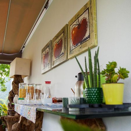Quinta Da Mouta Villa Vieira do Minho Exteriör bild