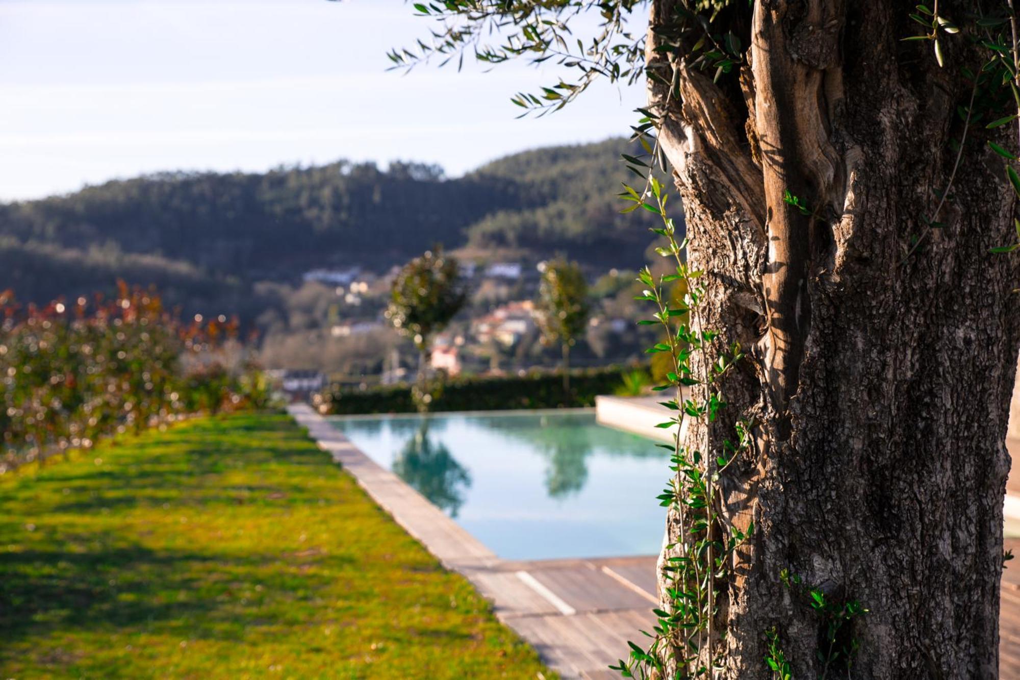 Quinta Da Mouta Villa Vieira do Minho Exteriör bild
